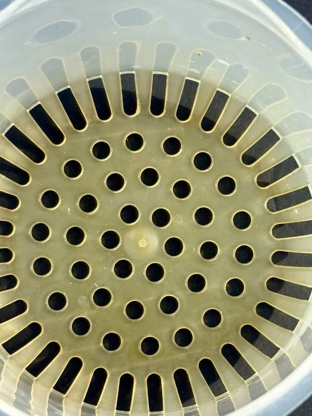 Beaba BabyCook Solo/Duo Replacement Steamer Basket Insert Piece Part